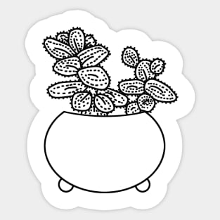 Augurkenplantje Delopsperma Echinatum Lines Sticker